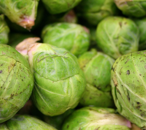 Brussels Sprouts 